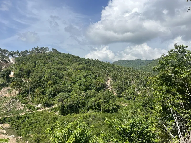 A very attractive plot of land with great commercial potential (RW-0520) — photo 3