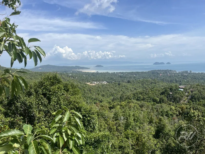 A very attractive plot of land with great commercial potential (RW-0520) — photo 4