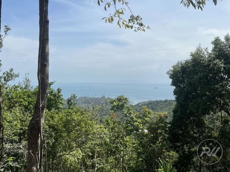 A very attractive plot of land with great commercial potential (RW-0520) — photo 5