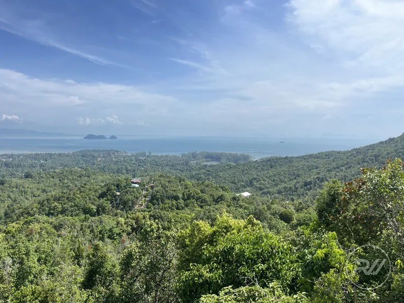 A very attractive plot of land with great commercial potential (RW-0520) — photo 6