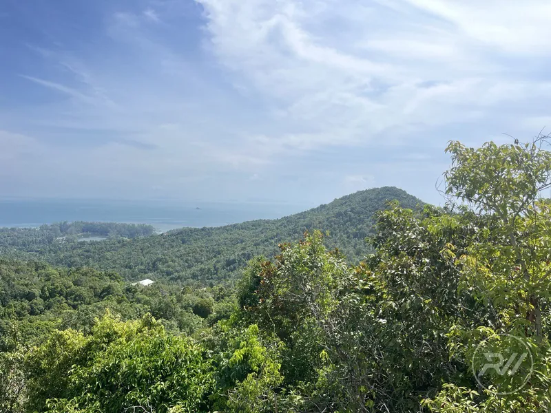 A very attractive plot of land with great commercial potential (RW-0520) — photo 7