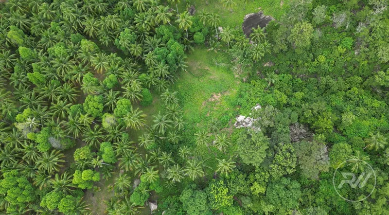 A beautiful plot of land in a quiet location