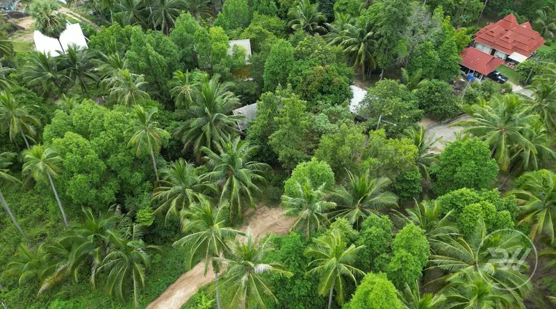 A beautiful plot of land in a quiet location (RW-0528) — photo 2