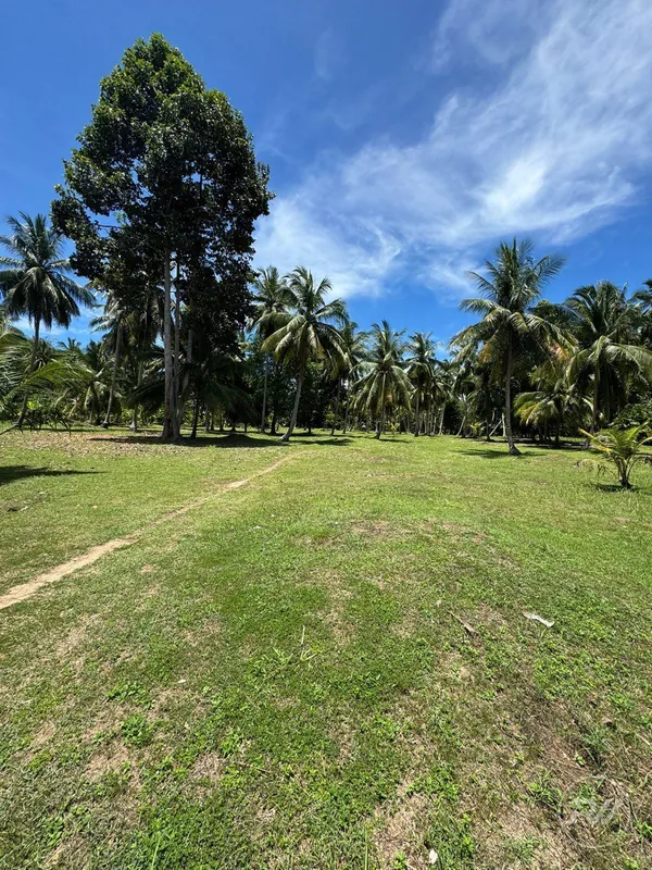 Land For Sale Ban Tai