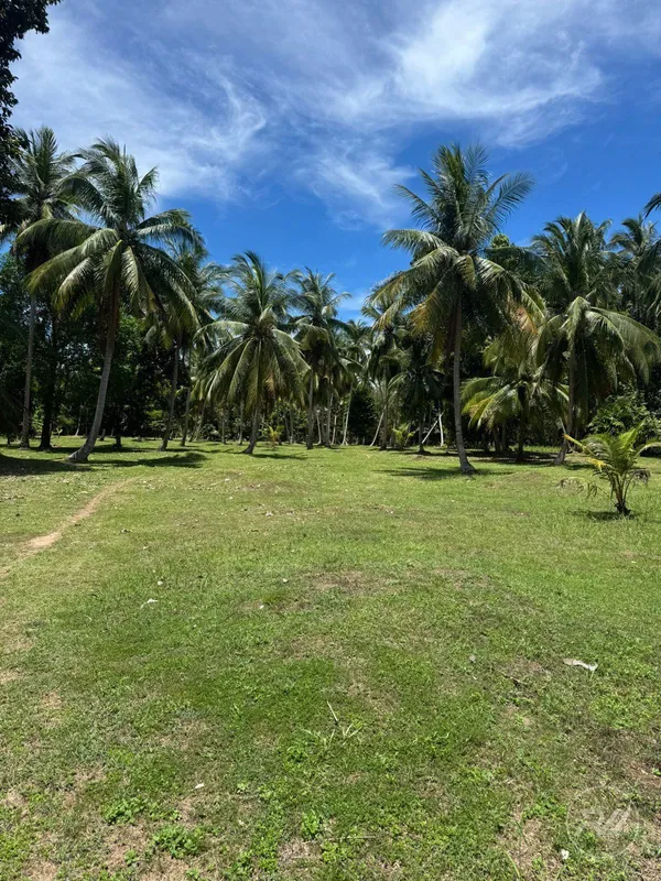 Land For Sale Ban Tai (RW-0579) — photo 2