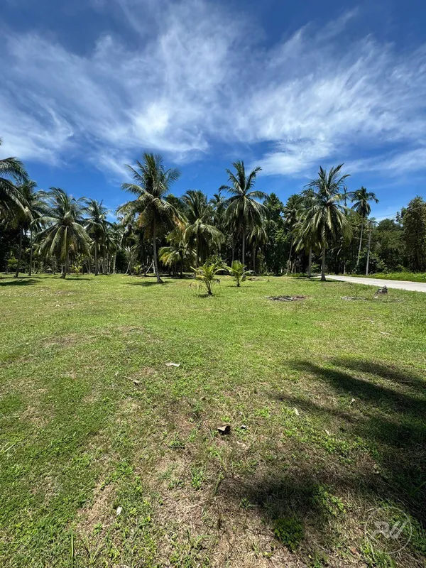 Land For Sale Ban Tai (RW-0579) — photo 3