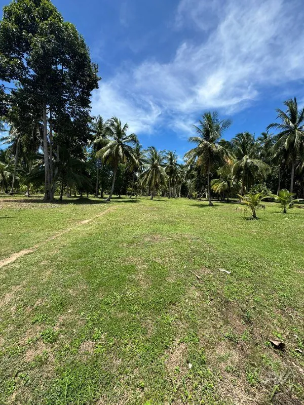 Land For Sale Ban Tai (RW-0579) — photo 4
