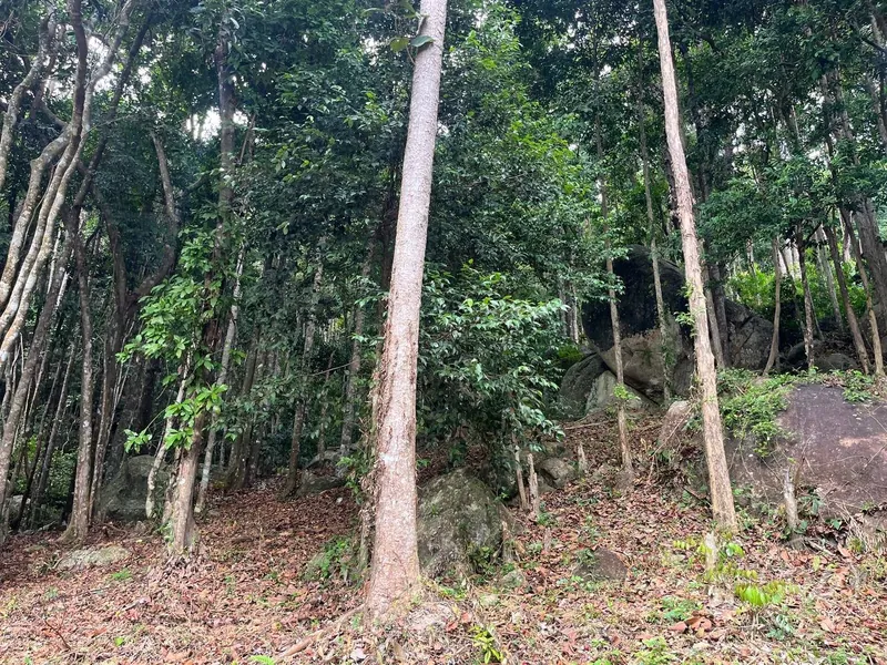 Small Sea-View Plot in the Heart of the Island (RW-0583) — photo 2