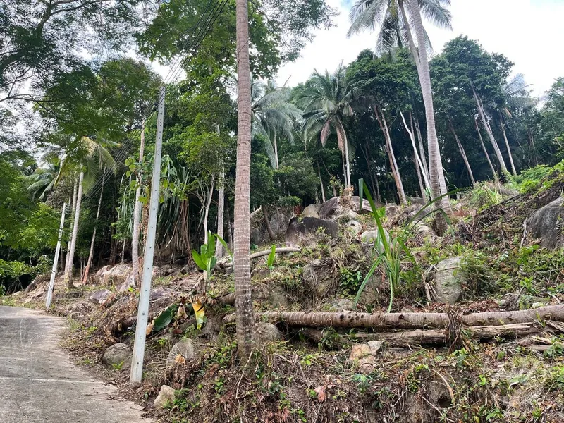 Small Sea-View Plot in the Heart of the Island (RW-0583) — photo 4