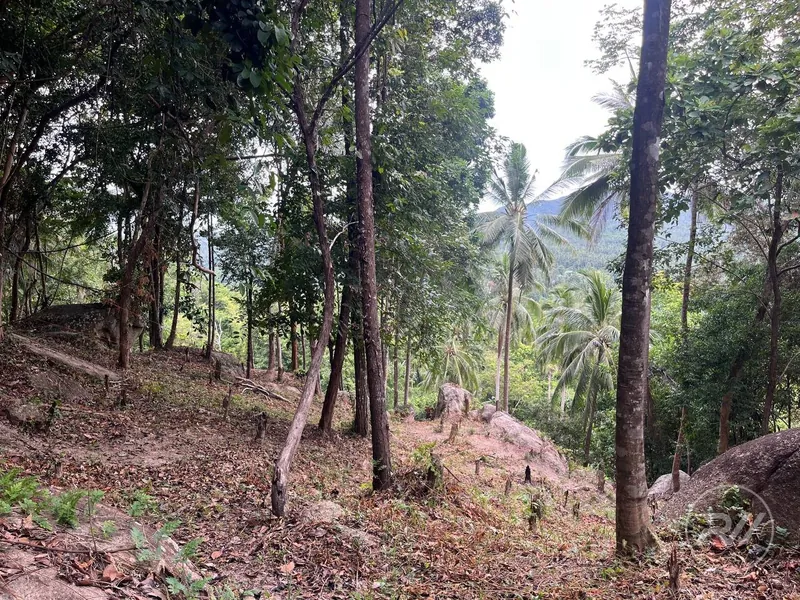 Small Sea-View Plot in the Heart of the Island (RW-0583) — photo 5
