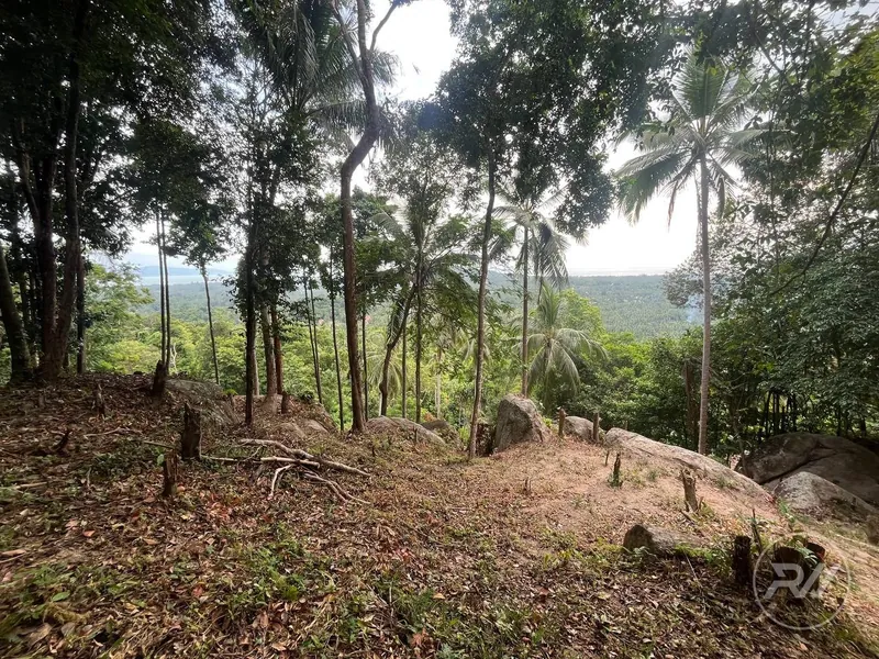 Small Sea-View Plot in the Heart of the Island (RW-0583) — photo 7