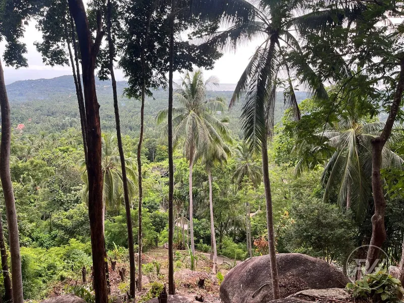 Small Sea-View Plot in the Heart of the Island (RW-0583) — photo 8