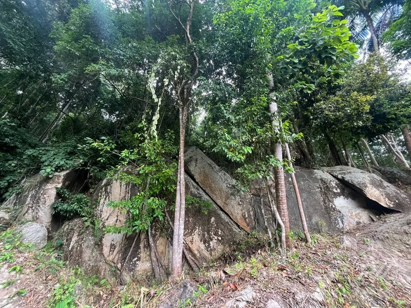 Small Sea-View Plot in the Heart of the Island (RW-0583) — photo 9
