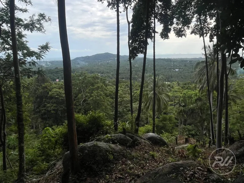 Small Sea-View Plot in the Heart of the Island (RW-0583) — photo 13