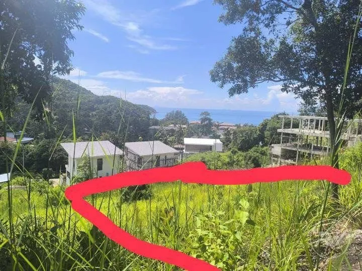 Land For Sale Mae Haad (Koh Ma) (RW-0589) — photo 6