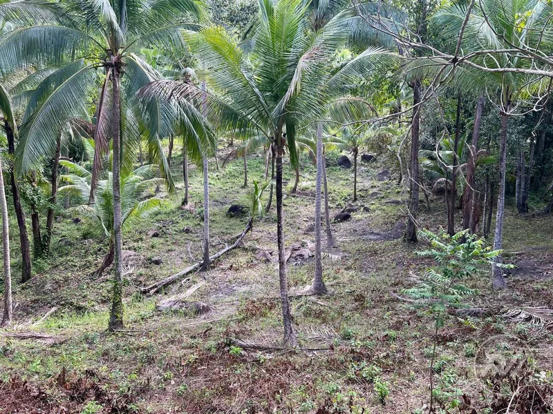Chaloklum Plot for Sale – Prime Location
