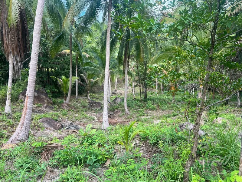 Chaloklum Plot for Sale – Prime Location (RW-0592) — photo 2