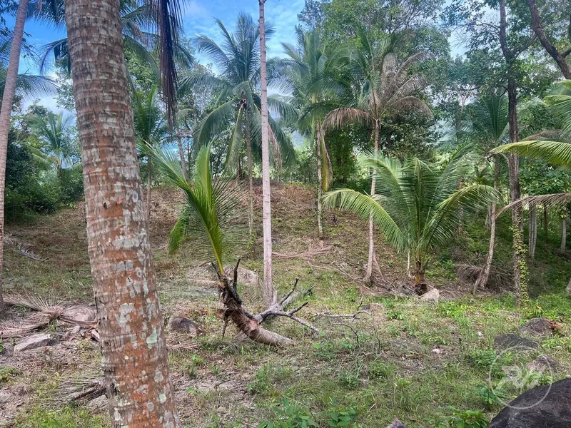 Chaloklum Plot for Sale – Prime Location (RW-0592) — photo 3