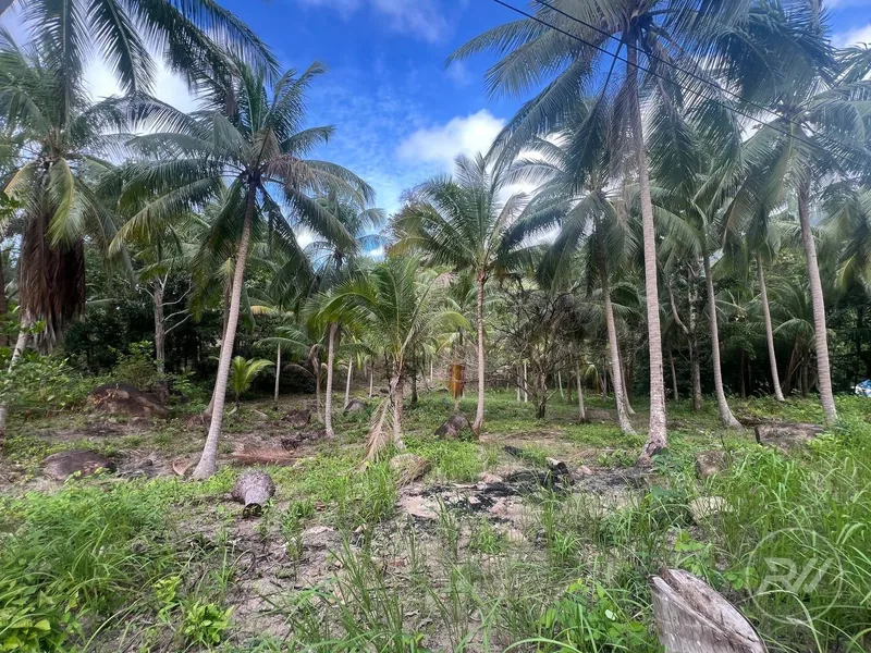 Chaloklum Plot for Sale – Prime Location (RW-0592) — photo 4