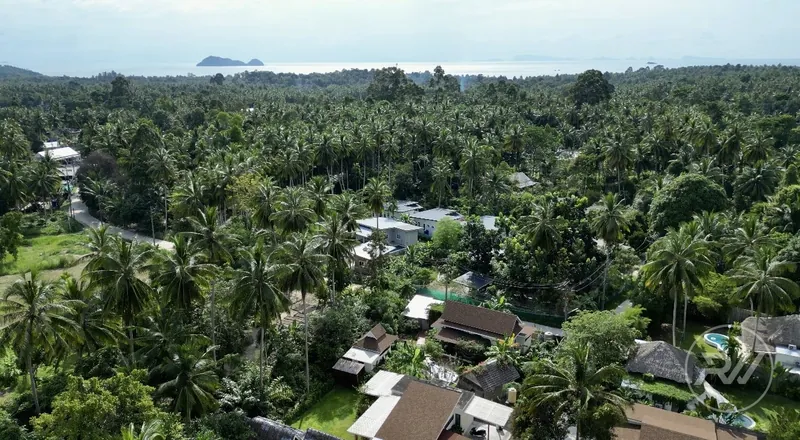 Coconut Lane 10 rai (RW-0629) — photo 2
