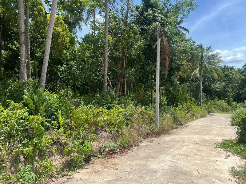 Land Sale/Lease Sri Thanu