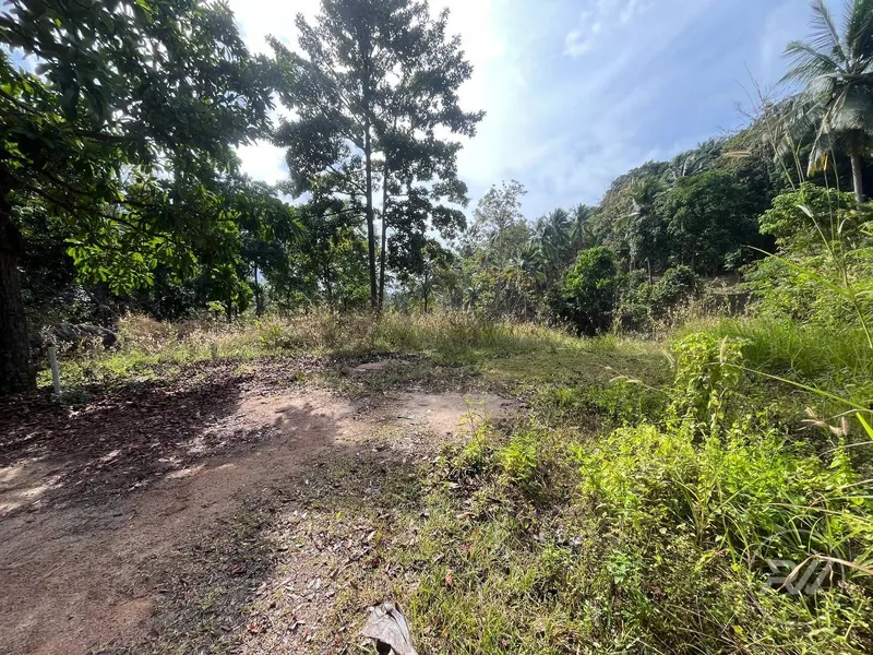 Small plot of Land in Ban Tai