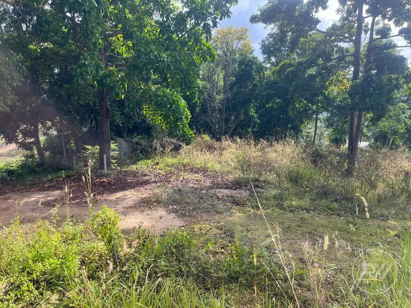 Small plot of Land in Ban Tai (RW-0633) — photo 2