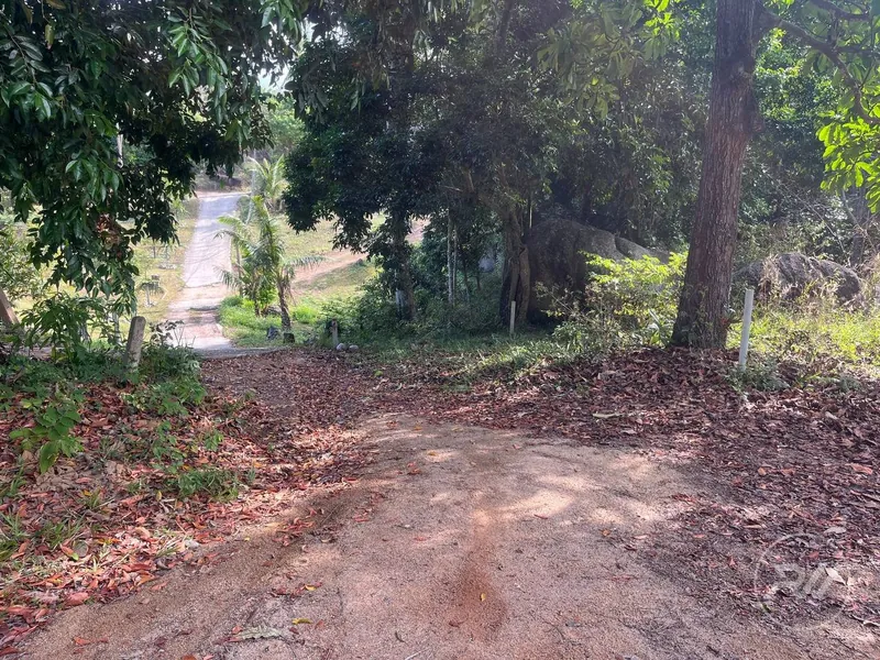 Small plot of Land in Ban Tai (RW-0633) — photo 3