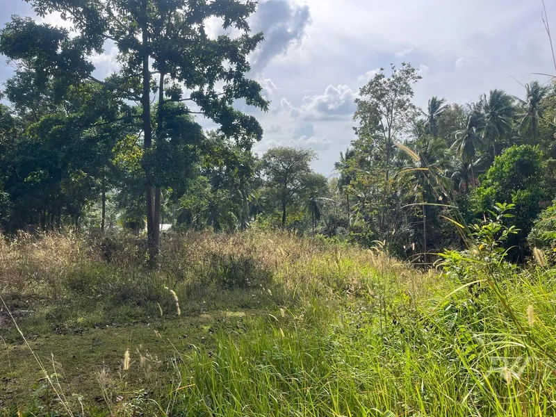 Small plot of Land in Ban Tai (RW-0633) — photo 4