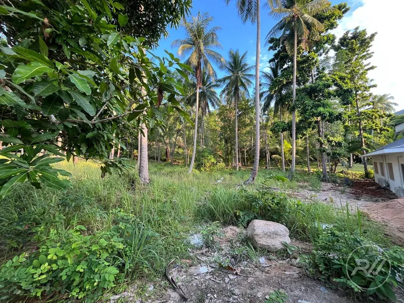 Land plot in Chaloklum