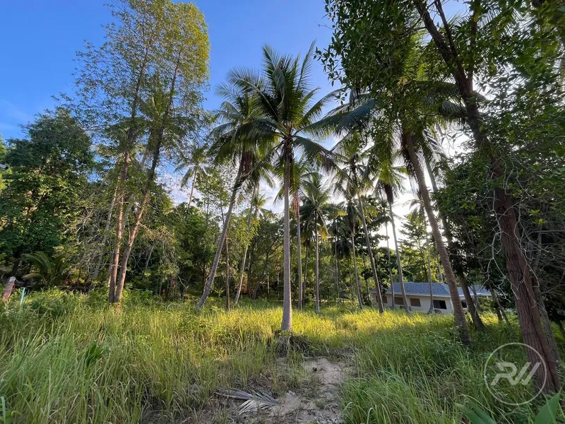 Land plot in Chaloklum (RW-L0029) — photo 2