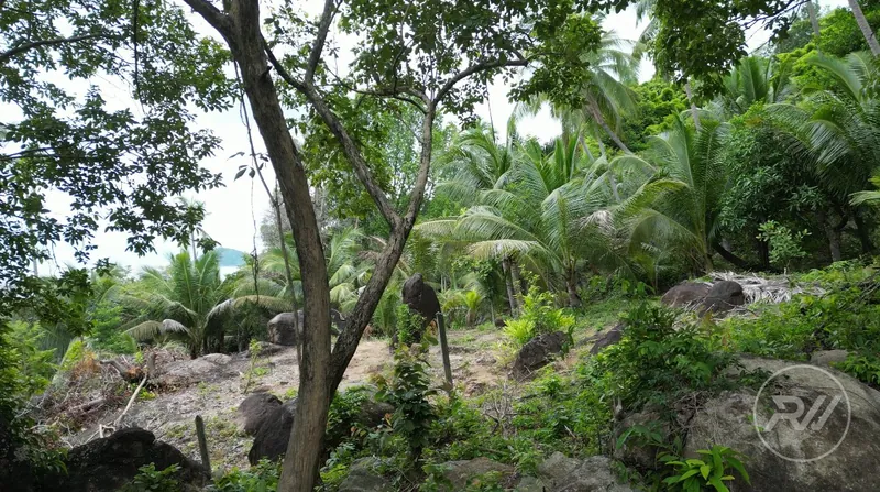 Land plot on Koh Phangan